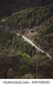 High view of a forest road between natural landscape