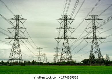 High voltage electric pylon and electrical wire at green rice field and tree forest. Electricity pylon with overcast sky. High voltage grid tower with wire cable.  Power and energy concept. Landscape.