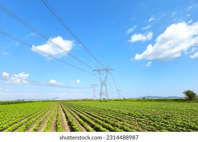 High voltage electric transmission lines 