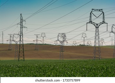 High voltage power lines and power pylons in the green field of wheat.