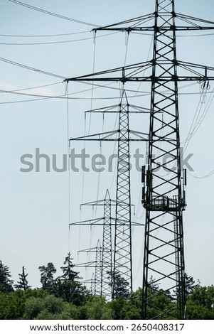 High voltage pylons with overhead cablings strung in a forest area, vanishing in the distance.
