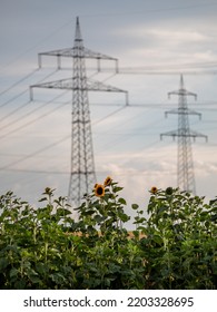 High Voltage Pylons Of An Overhead Line In The Field