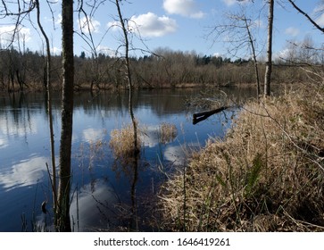 High Water Levels In Sammamish River In January, Redmond, Washington