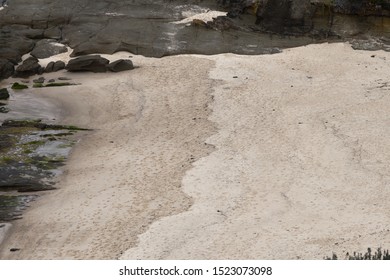 High Water Mark In Sand