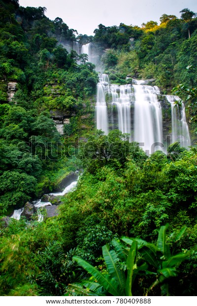 High Waterfall Deep Rain Forest Walking Stock Photo Edit Now