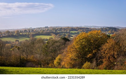 High weald autumn woodland countryside near Salehurst Robertsbridge East Sussex south east England - Shutterstock ID 2231554289