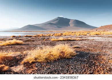 High-altitude lake and volcanoes in Altiplano plateau, Bolivia. South America summer landscape