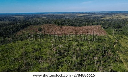 High-angle aerial drone view capturing a fresh patch of clear-cutting and forest degradation inside the dense Amazon jungle, showing land clearing for agricultural development. Recorded in Apui, Amazonas, Brazil.