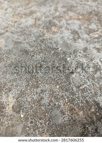 A high-angle close-up shot of efflorescence and white fungal mycelium layer growing on a damp concrete ground surface, creating a rough, textured abstract pattern caused by high humidity and moisture accumulation.

This detailed photograph captures a close-up texture of white mold, fungal mycelium, and efflorescence salt buildup covering a moist, dark gray concrete floor. The image showcases the intricate, net-like patterns and dusty white particles formed by mineral salt migration and mold growth due to long-term moisture exposure and lack of direct sunlight. The rough surface presents a gritty, organic, and weathered aesthetic, ideal for background textures, environmental science, and construction damage concepts.
​The naturally occurring white layer contrasts sharply against the dark, damp stone background, highlighting the subtle effects of water damage, humidity, capillarities in masonry materials, and micro-organism proliferation. This versatile background image can be utilized in various context designs, including articles on home maintenance, building inspection, waterproofing solutions, biology studies on mold and mildew, urban decay photography, or as an abstract macro texture for graphic design projects.