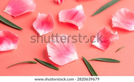 A high-angle close-up studio photograph of delicate pink carnation flower petals and slender green leaves arranged in a scattered pattern on a vibrant, solid coral pink background, ideal for spring themes.