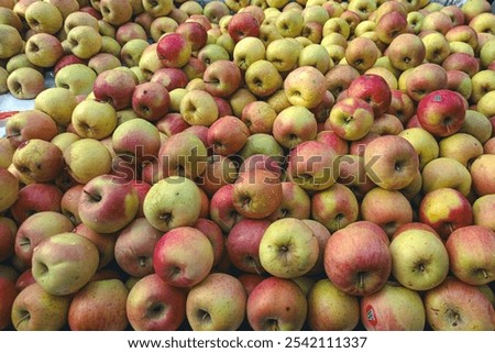 High-angle close-up view of a large pile of apples. 
The apples are various shades of red, pink, and yellow-green. 