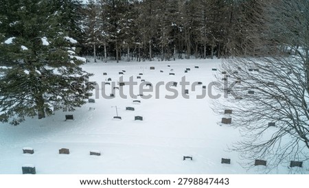 A high-angle drone photograph capturing an expansive cemetery covered in deep winter snow, with rows of granite headstones surrounded by dense pine trees on a cold, overcast day.