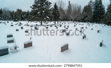 A high-angle drone photograph capturing an expansive cemetery covered in deep winter snow, with rows of granite headstones surrounded by dense pine trees on a cold, overcast day.
