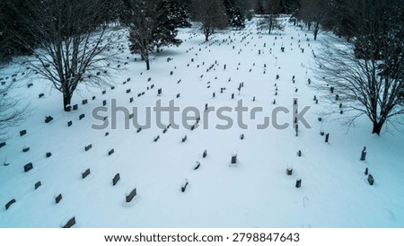 A high-angle drone photograph capturing an expansive cemetery covered in deep winter snow, with rows of granite headstones surrounded by dense pine trees on a cold, overcast day.