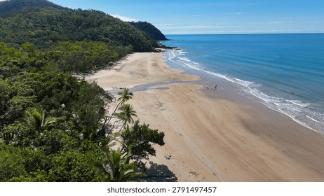 A high-angle drone shot captures a pristine sandy beach meeting a dense tropical rainforest.