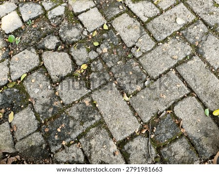 High-angle full frame shot of old weathered paving blocks street covered with green moss, fallen autumn leaves, and dirt texture