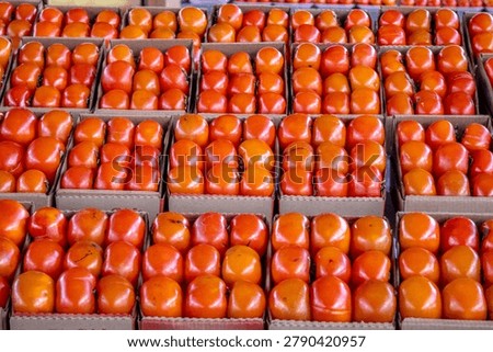 A high-angle, full-frame view of multiple corrugated cardboard boxes filled with vibrant orange persimmons, showcasing an abundant harvest and efficient agricultural supply chain logistics.