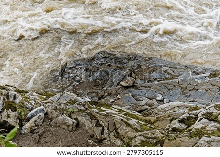 A high-angle geological documentary photograph capturing a detailed close-up of a bedrock outcrop along a mountain river channel. The shot highlights distinct structural geology features, including multi-directional tectonic fracturing, blocky joints, and mechanical weathering of sedimentary layers in the Western Caucasus. The lower section of the outcrop is submerged in the fast-moving, sediment-laden brown current of the Sakhray river during a severe flash flood, showing active hydraulic erosion and abrasion. Small pebbles and sand deposits accumulate in the lithic fissures, while the upper rock margins are covered with patches of green moss and sparse vegetation, making it an excellent resource for geomorphology and lithology textbooks