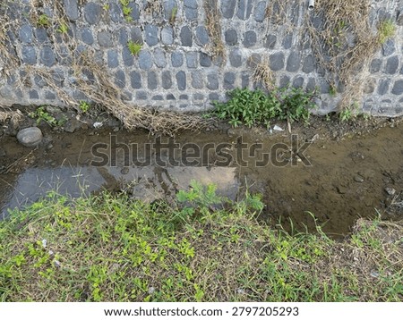 High-angle outdoor view of a small drainage ditch with shallow, calm water running over a muddy and pebbled bed. The waterway is flanked by an embanked green grass shore with wild weeds in the foreground and a retaining wall constructed from river stones in the background. The visual captures natural reflections on the water surface, scattered dry roots, and rural infrastructure under diffused daylight.