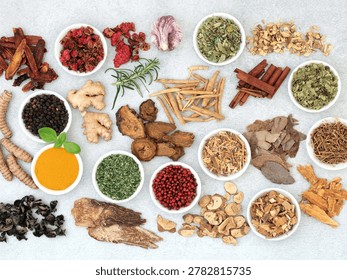 High-angle overhead view of an extensive selection of holistic healing ingredients neatly arranged on a concrete-textured surface. The composition showcases small white ceramic bowls filled with vibrant spices like turmeric powder, pink peppercorns, black pepper, and dried green herbs, alongside raw ginger, fresh rosemary, cinnamon sticks, garlic, and piles of various medicinal dried roots and barks. Perfect for visuals representing naturopathy, traditional Chinese medicine, alternative remedies, culinary spices, and health and wellness concepts.