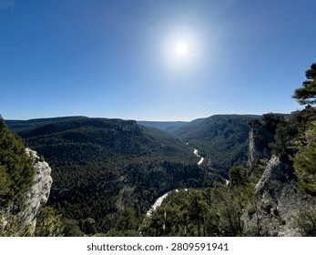 High-angle panoramic view of a river cutting through a deep canyon covered in dense green pine forest under a clear blue sky and bright blazing sun.