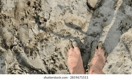 A high-angle point-of-view shot of a person's bare feet covered in wet beach sand standing on a textured sandy shore illuminated by natural sunlight.