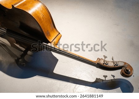 A high-angle shot captures a wooden double bass laid diagonally across the frame. Its glossy finish and elegant curves are highlighted by soft lighting, while its shadow adds depth and dimension. 