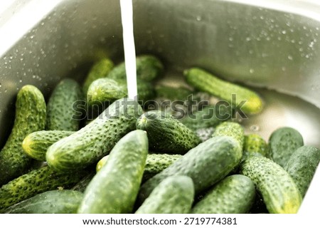 A high-angle shot of fresh, bumpy green cucumbers being rinsed under a stream of running water in a stainless steel kitchen sink.