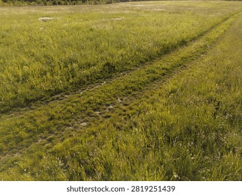 High-angle shot of a grassy dirt path cutting through a sunlit green meadow