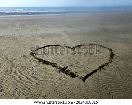 A high-angle shot of a heart shape made of seaweed on sandy beach with calm ocean waves in the background. Romantic summer vacation, love, and coastal nature concept.