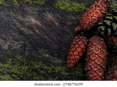 High-angle shot of rustic dark timber covered in green moss, accented with vibrant reddish pine cones. A perfect atmospheric background for autumn, woodland themes, and organic nature designs.#MoodyNature #WoodTexture #PineCones #AutumnVibes #ForestFloor #RusticDecor #NatureBackground #DarkAesthetic #OrganicTexture #StockPhotography