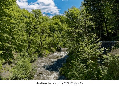 High-angle shot showcasing a historic rustic wooden cabin building or small hydro station located next to a powerful rushing mountain river. In the deep background, a small concrete water control dam creates a low waterfall cascade. The river torrent flows heavily over rapids through a narrow canyon valley densely covered with pristine green summer forest trees under a bright blue sky with white clouds. The imagery represents old rural infrastructure, small-scale renewable water energy, ecotourism travel routes, and natural river ecosystem protection in a protected nature reserve. Clean layout without peopl