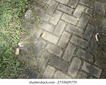High-angle shot of weathered gray interlocking concrete paving blocks arranged in a herringbone pattern with patches of green grass growing in the gaps.