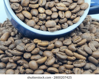 A high-angle studio close-up featuring a cup filled with premium Indonesian Gayo Arabica coffee beans against a white background.