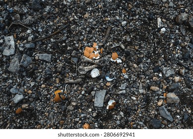 High-angle texture background of dark, gritty ground covered in small pebbles, dirt, and scattered organic debris including broken eggshells, tiny animal bones, and small sea shells.