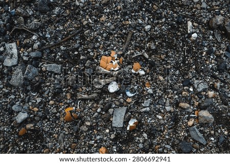 High-angle texture background of dark, gritty ground covered in small pebbles, dirt, and scattered organic debris including broken eggshells, tiny animal bones, and small sea shells.