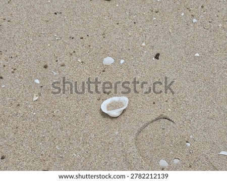 High-angle texture background of natural beach sand with small broken seashells scattered on the surface.