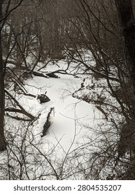 A high-angle vertical shot looking down at a winding frozen creek completely buried under white snow, surrounded by dense bare tree branches and trunks in a silent wintry ravine.