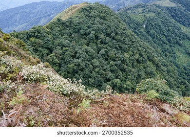 High-angle view from a cliff edge overlooking a majestic forested mountain range with vibrant green canopy, reddish undergrowth, and a distant waterfall in the wild