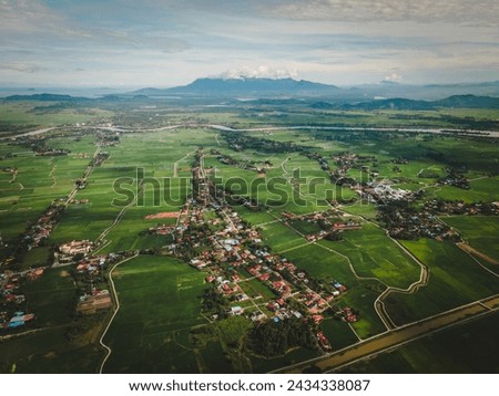 High-angle view of green paddy field over Kampung Agong, Penang, Malaysia