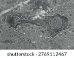 High-angle view of grey stone texture surface, abstract dark marble or granite pattern background for interior design, furniture laminate, or architectural material backdrop.