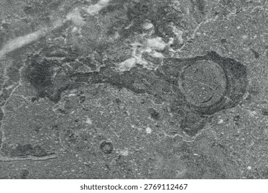 High-angle view of grey stone texture surface, abstract dark marble or granite pattern background for interior design, furniture laminate, or architectural material backdrop.
