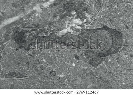 High-angle view of grey stone texture surface, abstract dark marble or granite pattern background for interior design, furniture laminate, or architectural material backdrop.