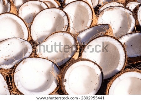High-angle view of halved brown coconuts drying in the sun. Fresh organic copra production process for oil and food industry, showcasing natural white coconut meat texture and tropical agriculture