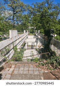 A high-angle view looking down into the derelict structure of an abandoned public bridge, overpass, or outdoor facility. The perspective is from the unmaintained, weed-overgrown entrance, looking past two concrete support pillars at ground level that form a channel, down into a partially covered stairwell and underpass. The concrete is heavily stained, weathered, and show significant rust on the exposed metal reinforcing bar (rebar) where the concrete has chipped away. Dense, uncontrolled ivy and various green plants have taken over, growing along the concrete surfaces, especially the low railing walls and down into the lower level, where a bent, rusty rebar mesh panel lies over a pile of leaves and vines. In the deep background, there's an asphalt area with a hint of people (very small figures), suggesting a nearby, active park or road. Beyond this, a large park with many tall, leafy green trees and a clear blue sky with light clouds dominates the upper half of the image. The style is a natural, outdoor photograph.
