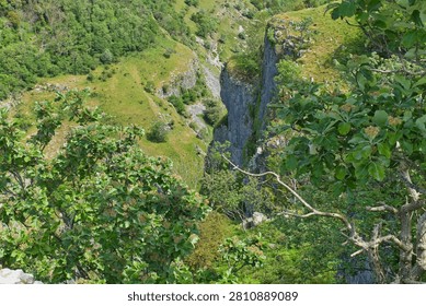 A high-angle view looking down into Cheddar Gorge, a deep limestone canyon filled with lush green trees and steep cliffs under a bright sky.