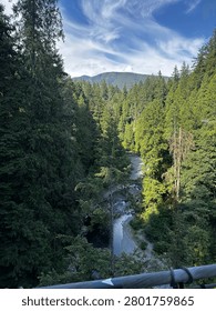 a high-angle view of a lush, dense evergreen forest during the day. A shallow, rocky river flows through the center of the valley, cutting a path through the tall pine and cedar trees. In the far background, a large, tree-covered mountain rises beneath a partly cloudy sky.