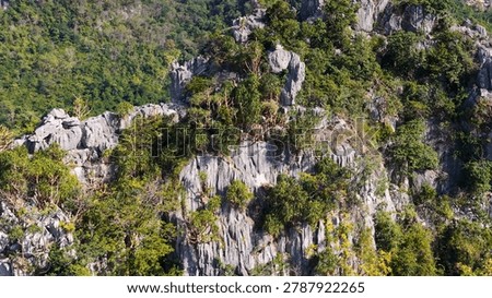 High-angle view shows jagged limestone cliffs covered in dense green tropical forest trees.