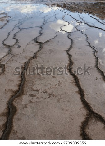 High-angle view of vertical water runoff channels cutting through the textured surface of geothermal bacterial mats in Yellowstone.