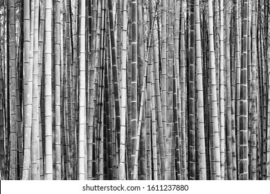 133,133 Black white bamboo Images, Stock Photos & Vectors | Shutterstock